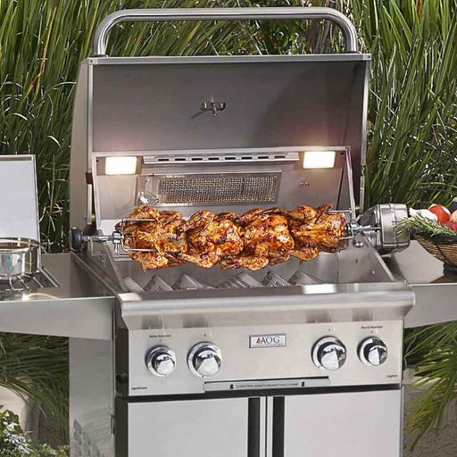 American Outdoor Grill Backburner & Rotisserie System