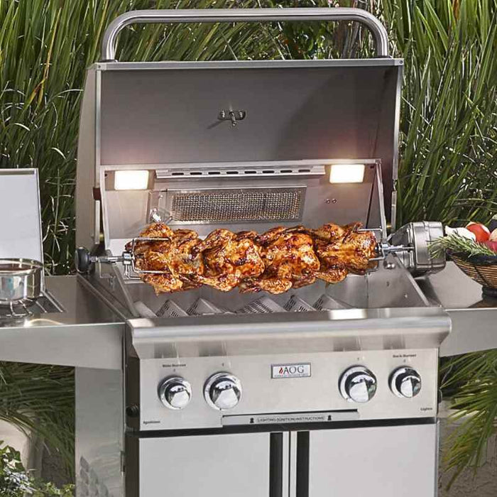 American Outdoor Grill Backburner & Rotisserie System V2