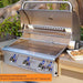 American Outdoor Grill Backburner & Rotisserie System