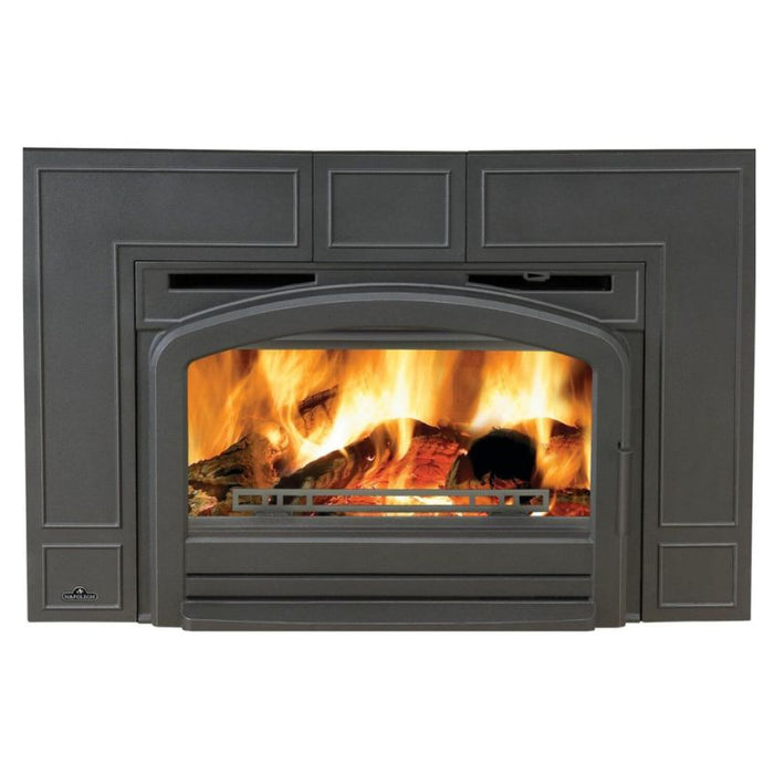 Napoleon Oakdale Traditional Cast Iron Wood Insert | EPI3T