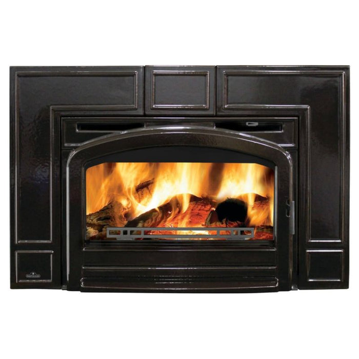 Napoleon Oakdale Traditional Cast Iron Wood Insert | EPI3T