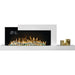 Napoleon Stylus Cara Elite 59 Wall Mount Electric Fireplace Straight Birch Yellow Flame LED Green