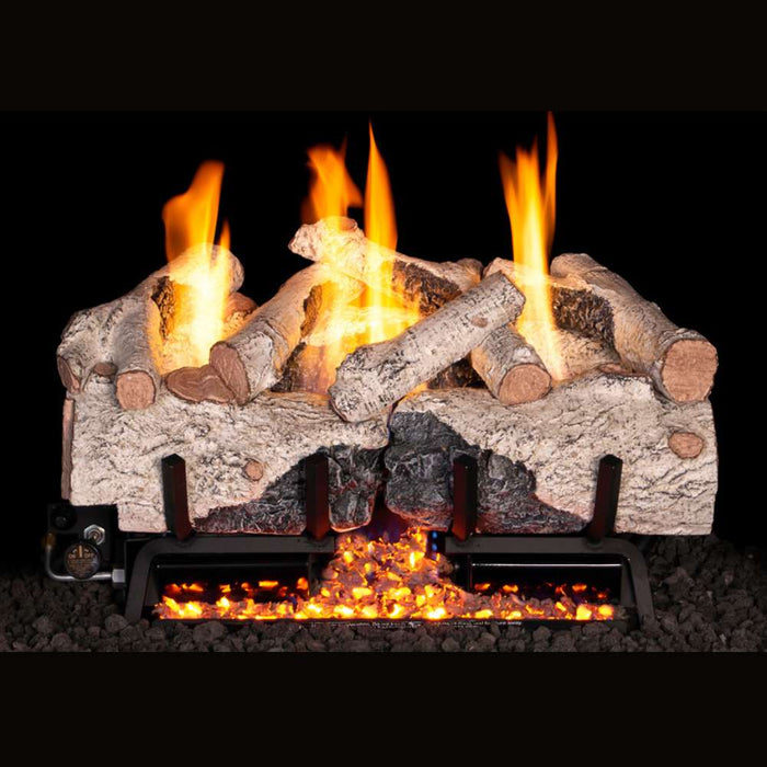 RH Peterson Real Fyre Charred Alpine Birch Vent Free Gas Log Set